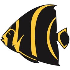 tropical fish