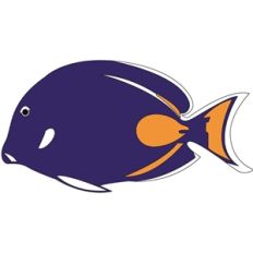 tropical fish