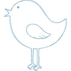 bird