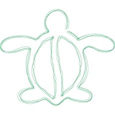 sea turtle