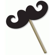 mustache photo prop