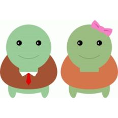 cute couple turtle
