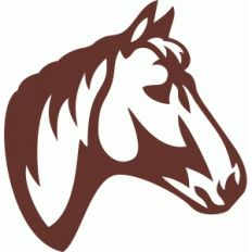 horse face