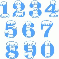 snow numbers