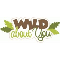 wild about you title