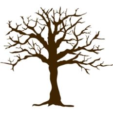 leafless tree