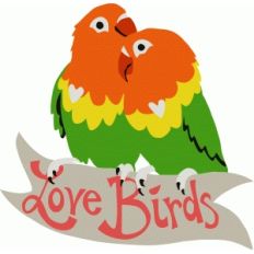 love birds