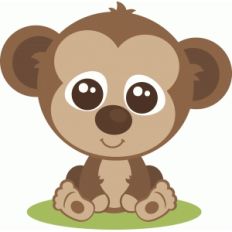 baby monkey