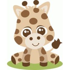 baby giraffe