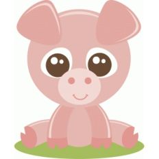baby pig
