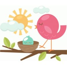 mom and baby bird