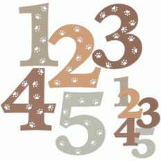 doggy paw print numbers 1-5