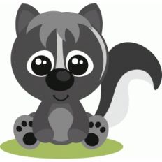 baby skunk