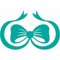 bow long ribbons