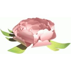 3d peony