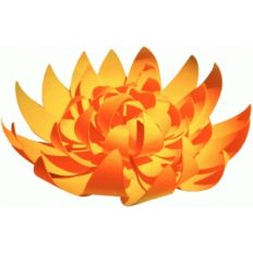 3d gerbera daisy