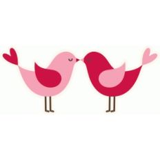 love birds