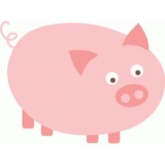 pig