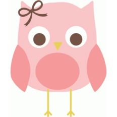 baby owl