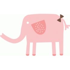 baby elephant