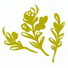 branches