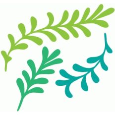 leafy sprigs