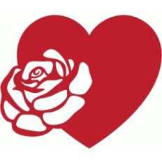 rose heart