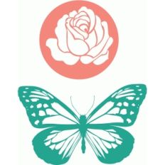 butterfly and rose