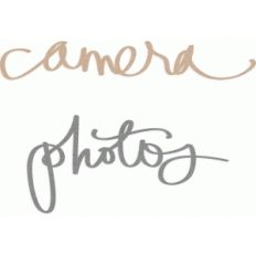 camera and photos