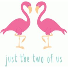 flamingo couple