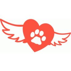 angel pet