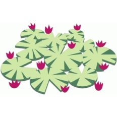 water lillies layered shape