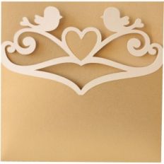 a2 and 5x5 love birds envelopes