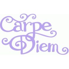 carpe diem hand lettering