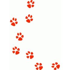 paw trail