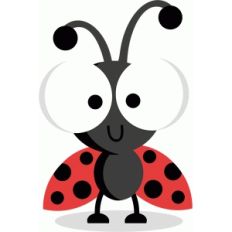 ladybug