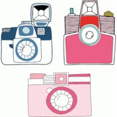 cameras