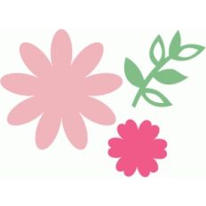 flowers and vine