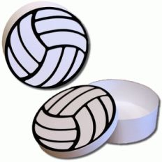 3d volleyball box