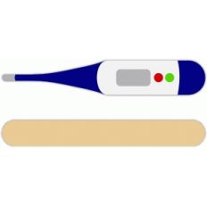 thermometer and tongue depressor