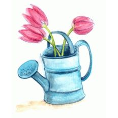 pnc tulips in watering can