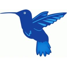 hummingbird