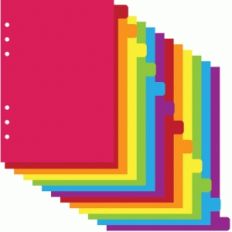 a5 12 ring planner 6 tab dividers