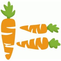 carrot set