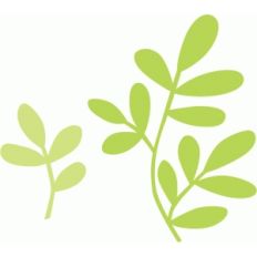 leaf