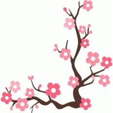 cherry blossom branch