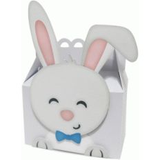 cute bunny boy box