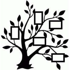 5 frame family tree