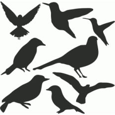 bird set
