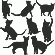 cat set